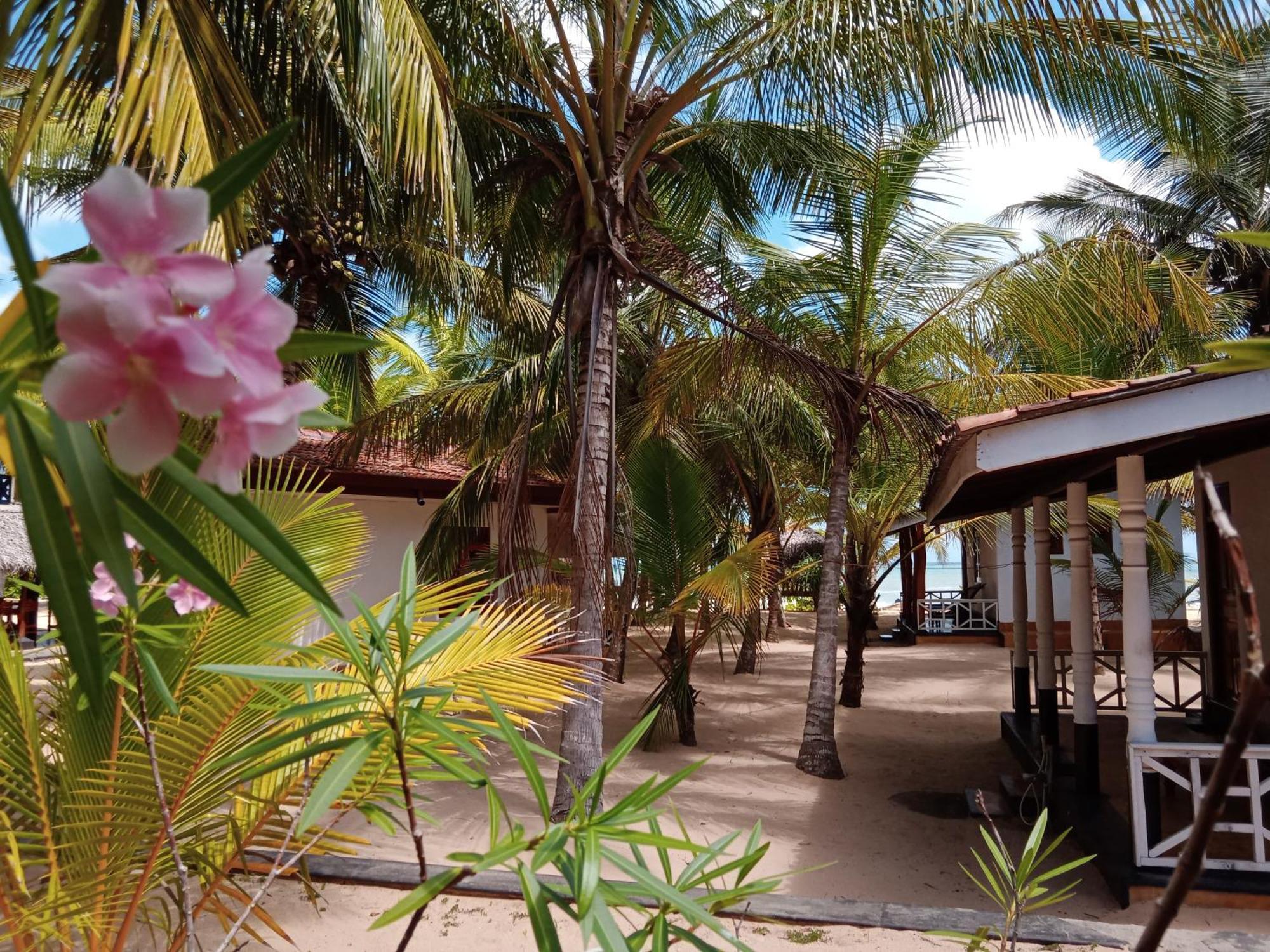 Ibisbird Beach Bungalows, Sport, Spa And Restaurant Тангале Екстериор снимка